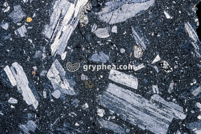 Trachyte (latite, faciès d'épanchement) LPA x2 - gryphea.com